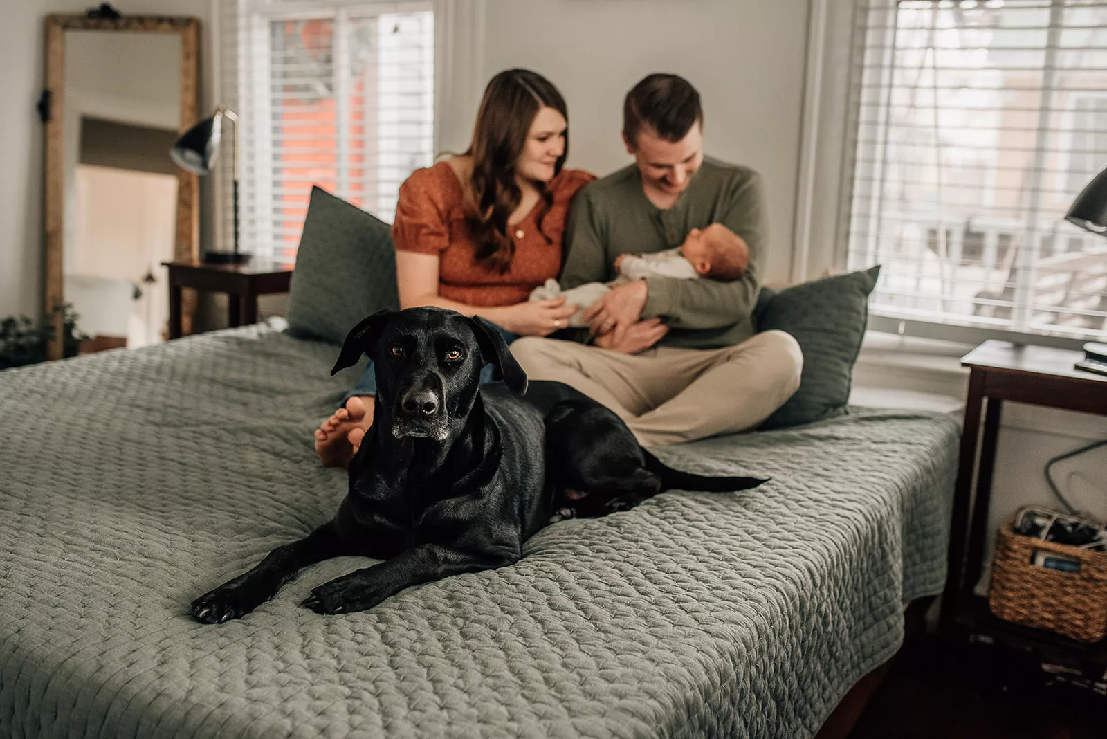 A black dog lays on a bed while mom and dad sit behind it with their newborn baby in dad's arms Houston Lactation Consultant